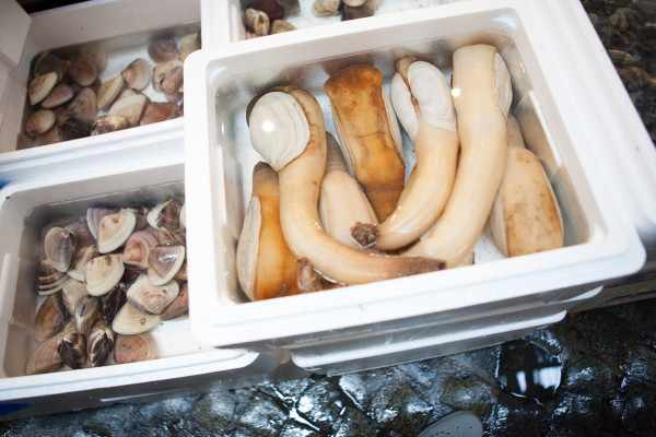 Geoduck (pronounced gooey duck) at the fish market