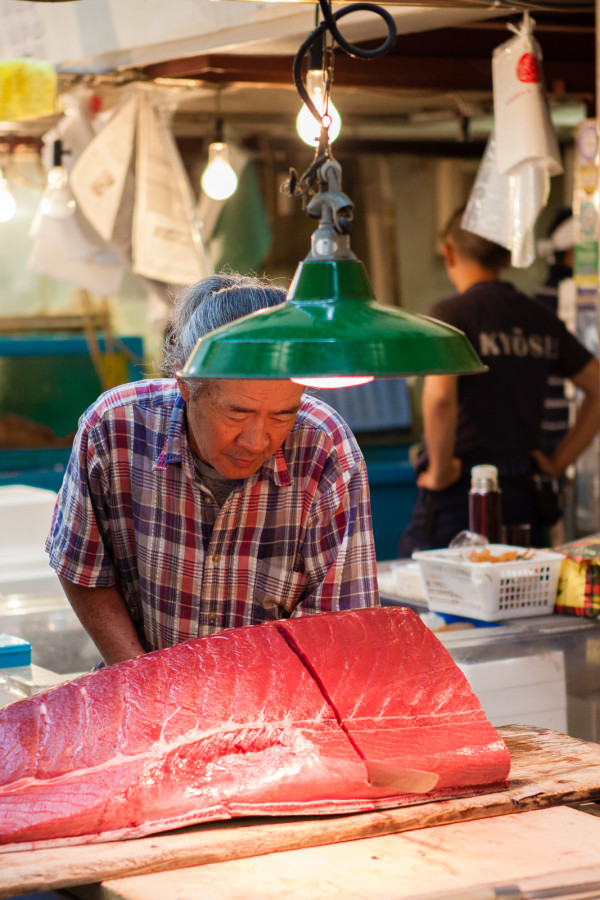 Cutting into a Yellowfin tuna