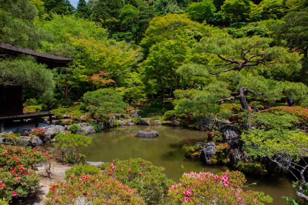 Gardens of Ginkaku-ji (it's a miracle that Andrew was able to get a picture without any school children)