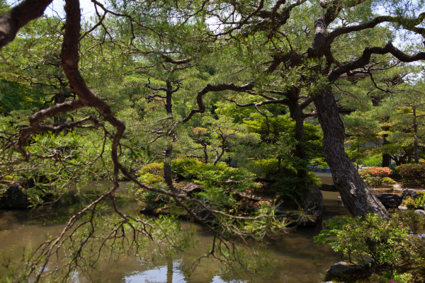 Gardens at Ginkaku-ji