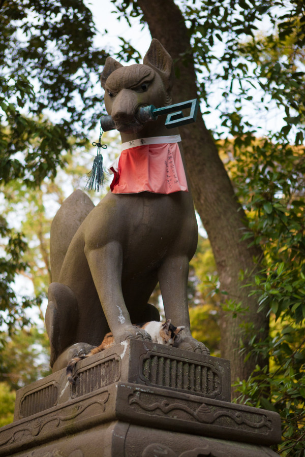 Fox statue at Fushimi Inari (the entire temple had a fox theme as foxes are thought to be Inari's messengers)