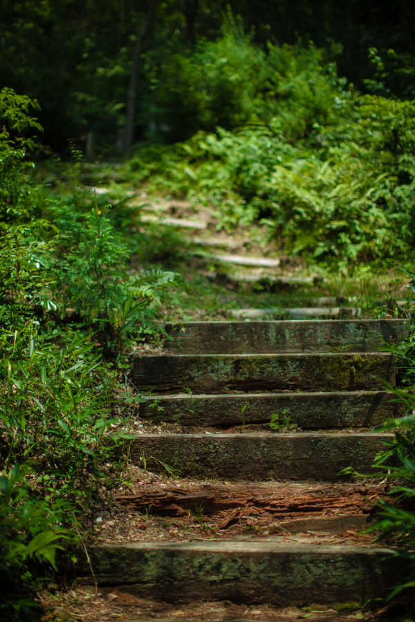 Path to the woods at Kiyomizu-dera temple